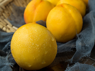 开云电竞登录入口基地展示五